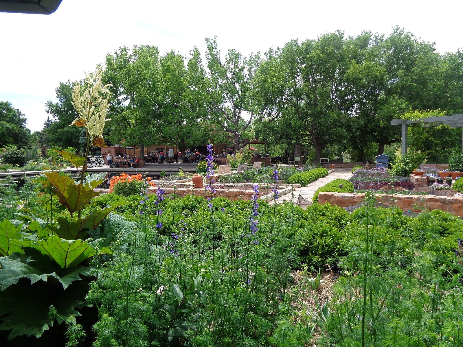 Planting beds and stone walls in the Denver Botanic Gardens at York Street