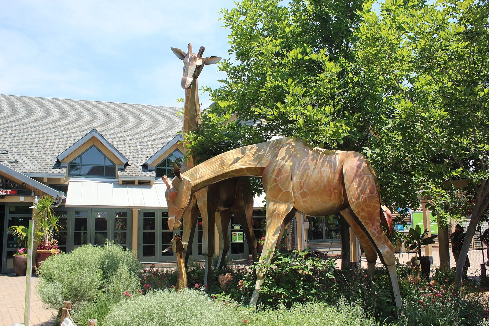 Metal giraffe sculptures standing among planting outside the entrance building of the Denver Zoo, with the ticket windows behind them under a blue sky