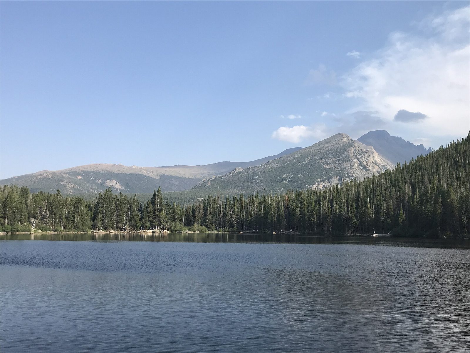 Bear Lake in Rocky Mountain National Park on a clear summer day, with a forested shoreline of tall conifers and rocky granite peaks rising beyond the trees under a pale blue sky