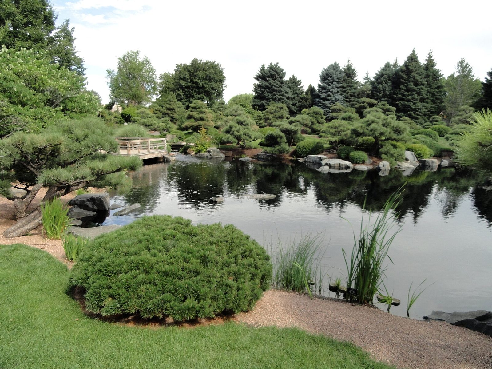The Japanese garden at the Denver Botanic Gardens, with a still pond reflecting carefully pruned pines and evergreens, rocks along the water's edge and a wooden footbridge on the left