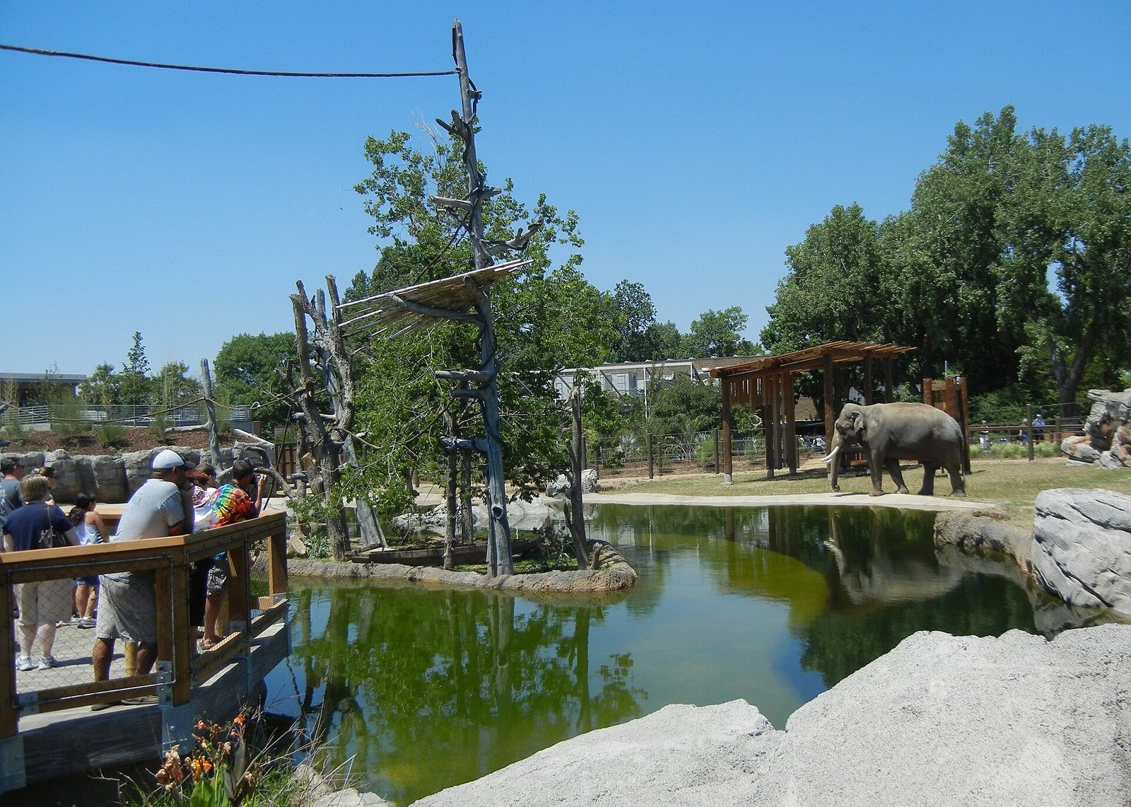 Denver Zoo Visitor Guide: Tickets, Timed Entry, Habitats and Tips