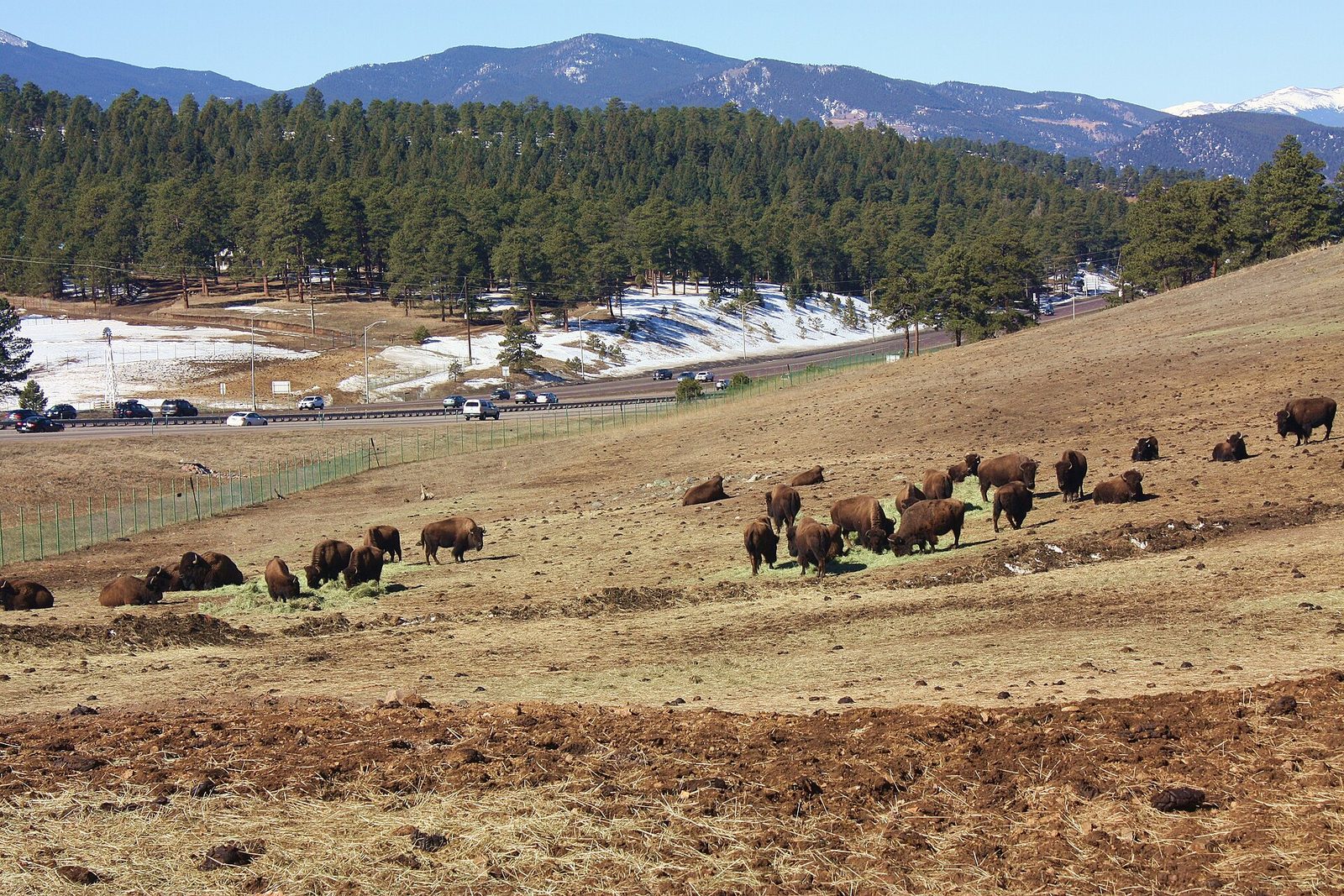 Unique Things to Do in Denver: Experiences You Can Only Have Here